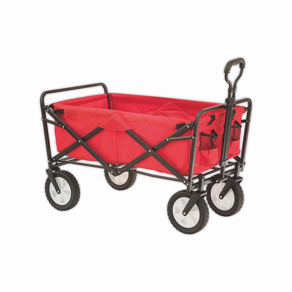 Kids Beach Cart